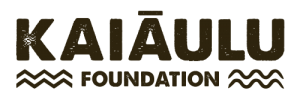 Kaiaulu Foundation - Support Lahaina